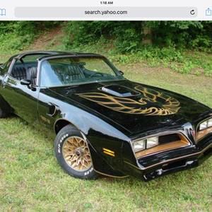 Meet your Posher, Ty